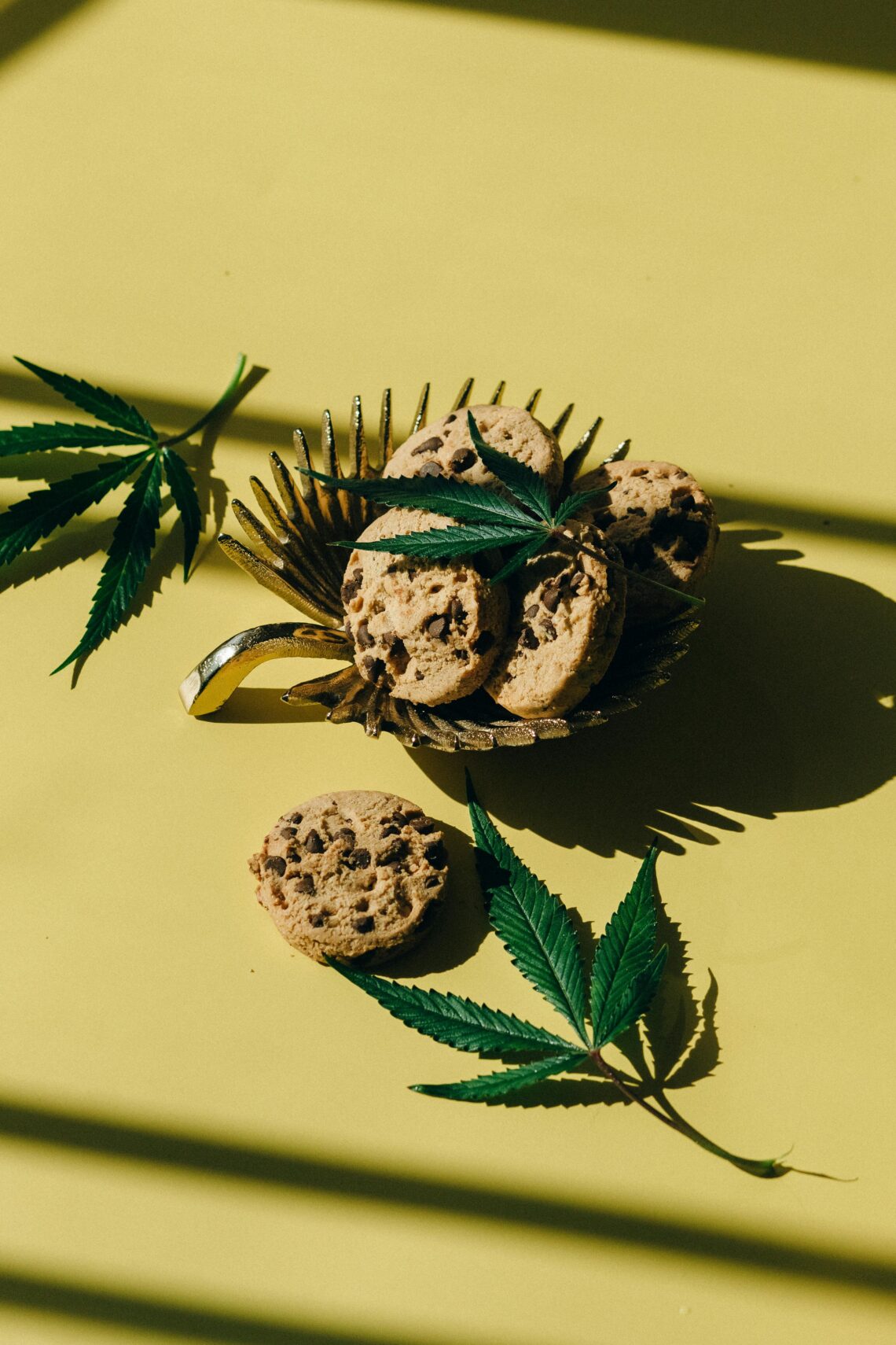 How to Incorporate Cannabis into Your Diet
